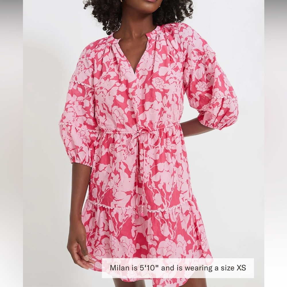 Tuckernuck Pink Floral Mini Dress